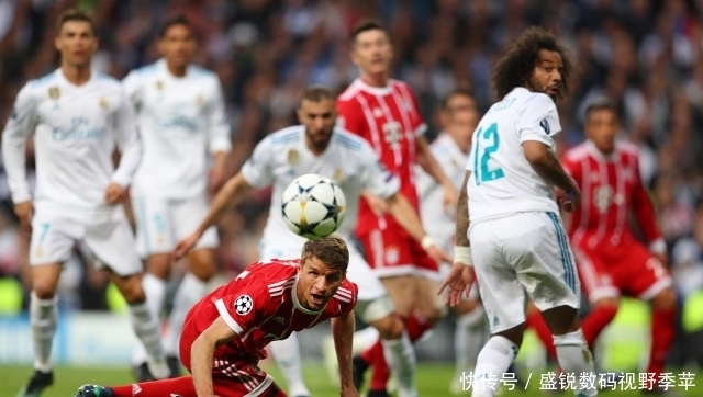 每一位主教 每一位主教